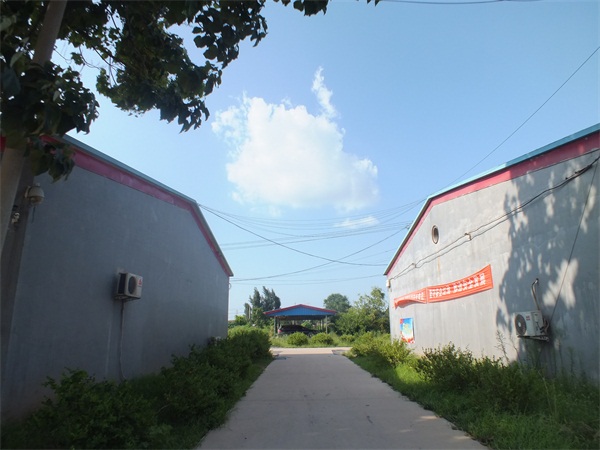 �S(ch��ng)���O(sh��)��